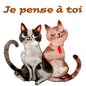 Gif animé je pense à toi chat